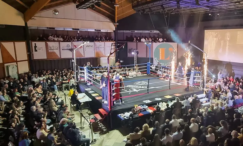 Boxe Française